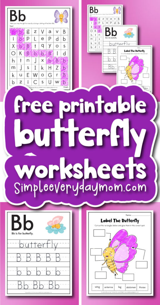 Butterfly worksheets cover image
