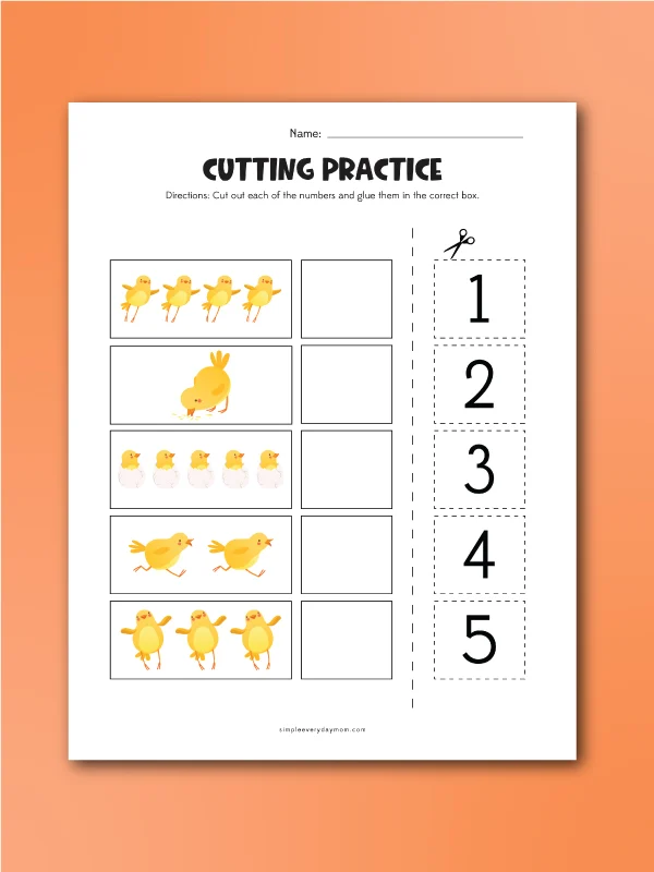 Chick cutting practice number recognition