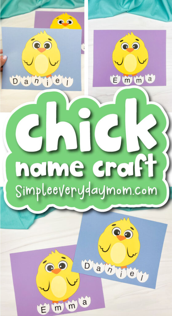 finished chick name craft cover image