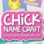 finished chick name craft cover image