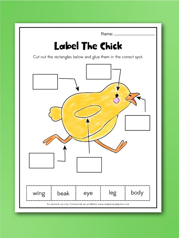 label a chick worksheet