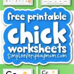 chick worksheets cover image