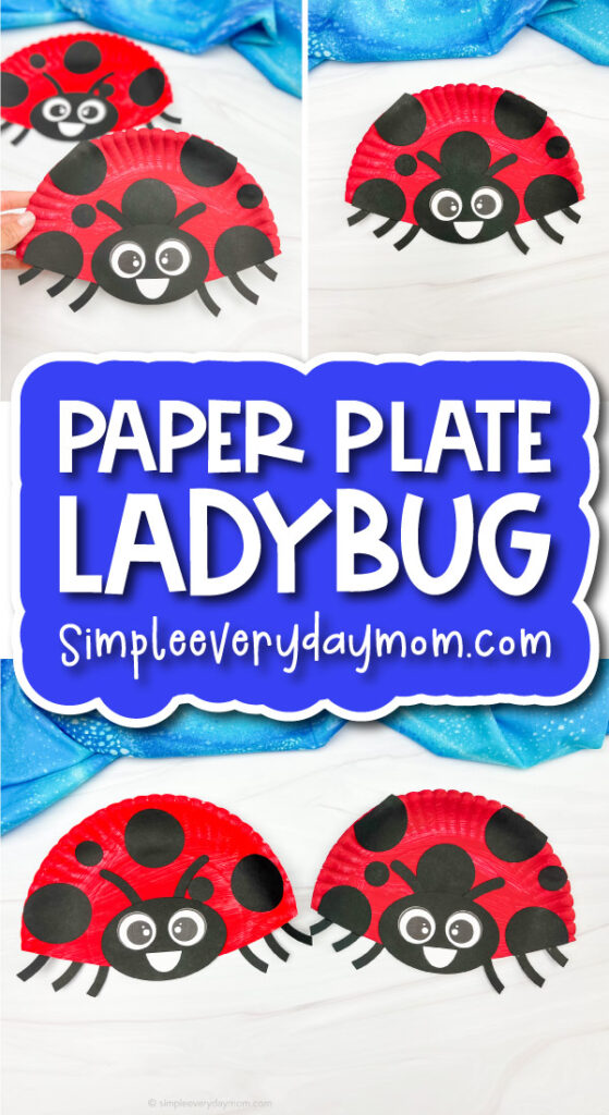 finished paper plate ladybug craft cover image
