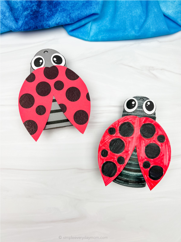 two examples of finished ladybug toilet roll craft