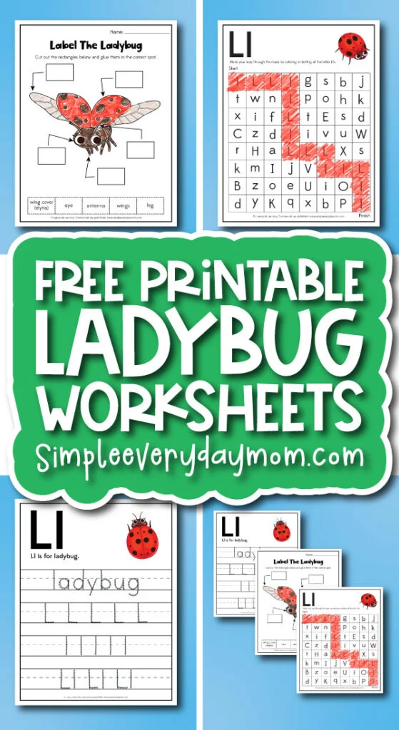 ladybug worksheets cover image