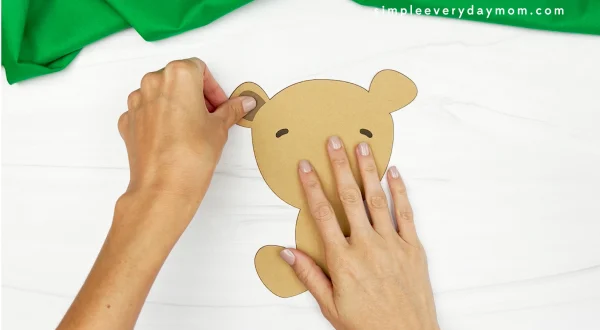 hands gluing part of ear onto teddy bear