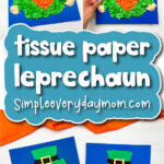 tissue paper leprechaun cover image