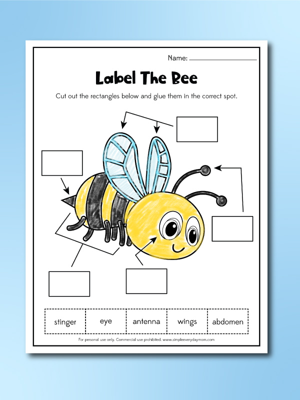 label a bee worksheet