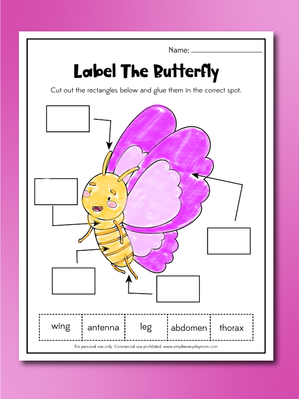 label the butterfly worksheet