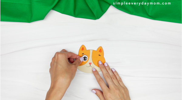 hands gluing eyes onto face of cat leprechaun craft