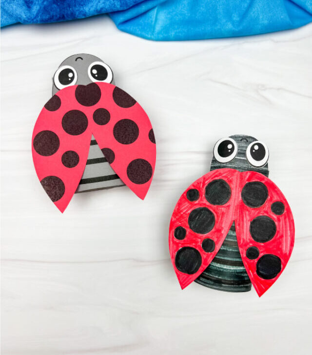 two examples of finished ladybug toilet roll craft