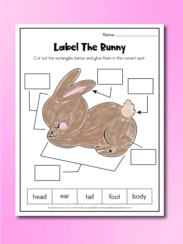 bunny worksheets label a bunny