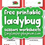 ladybug cutting practice worksheets cover image