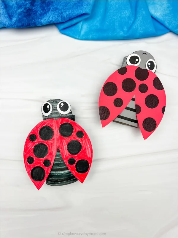 two examples of ladybug toilet roll craft