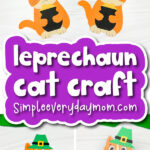 cat leprechaun craft cover image