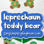 Leprechaun teddy bear cover image