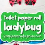 toilet paper roll ladybug finished craft cover image