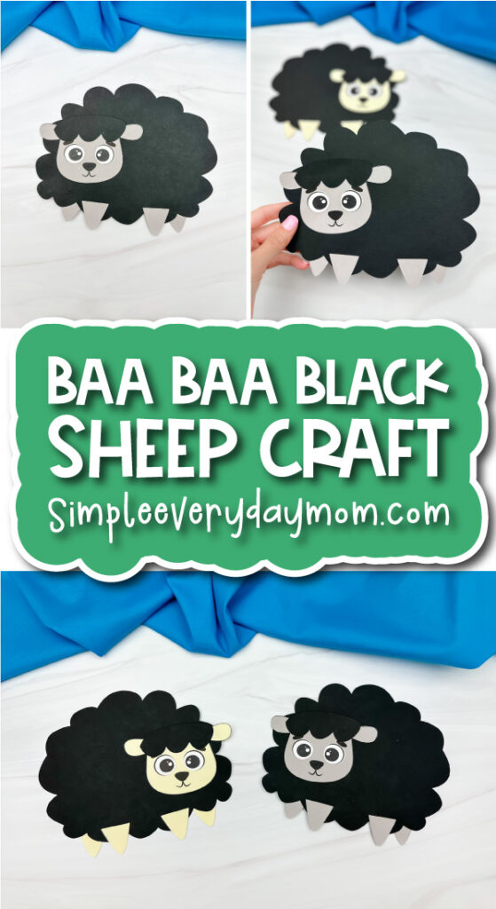 baa baa black sheep finished craft cover image