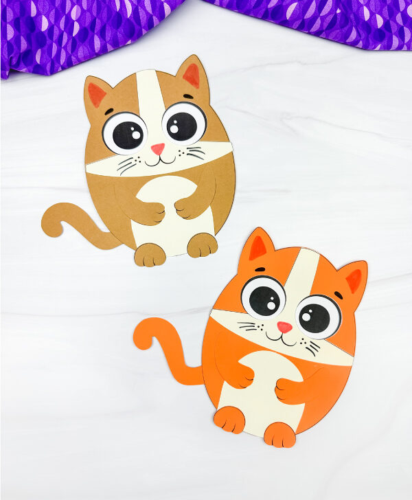 two exampls of finished Easter egg cat craft