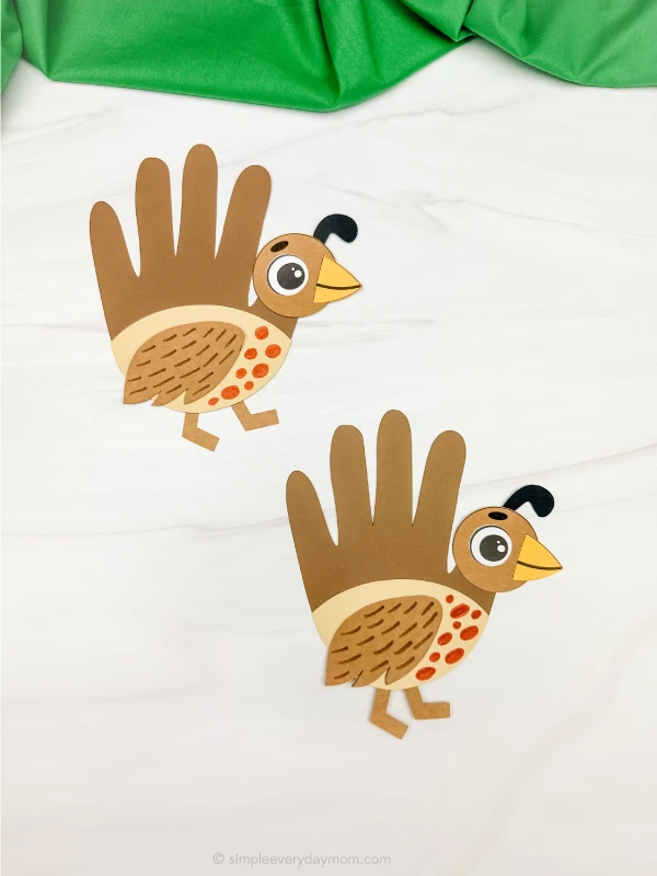 two examples of finished quail handprint craft