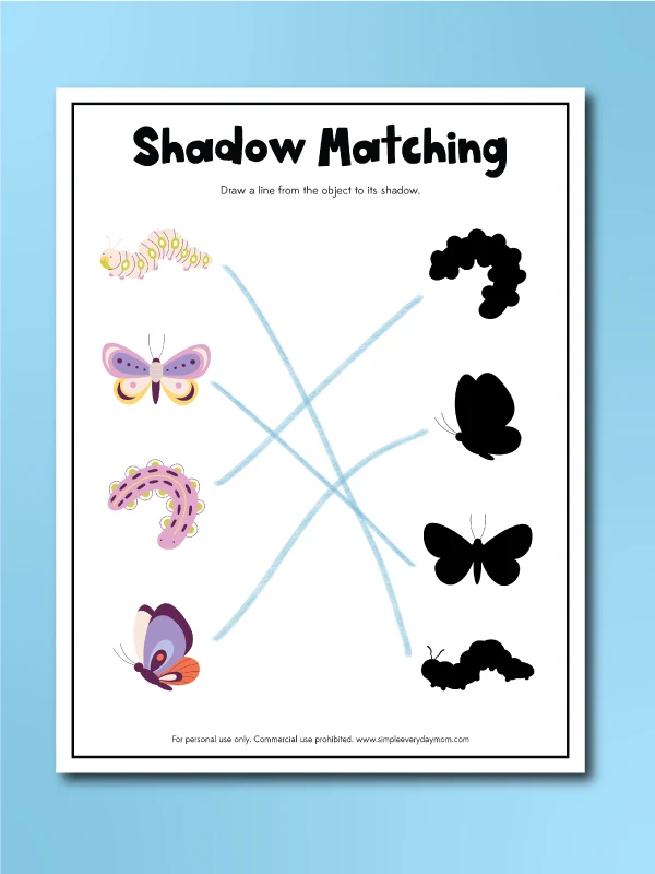butterfly activity shadow matching