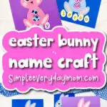 bunny name craft cover image