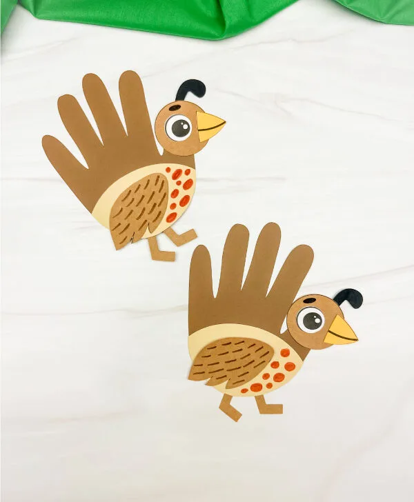 two examples of finished quail handprint craft