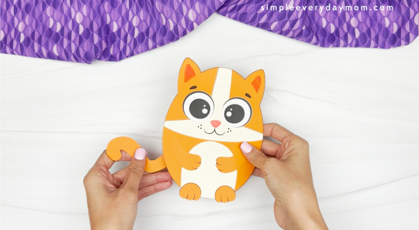 hands gluing tail onto cat body