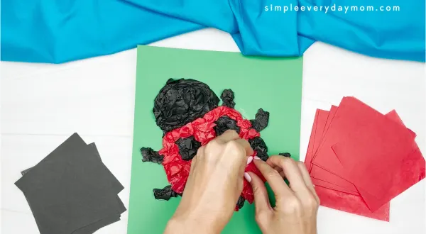 hands using red tissue paper for body of ladybug
