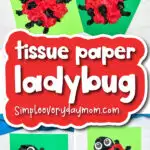 ladybug tissue paper craft finished cover image