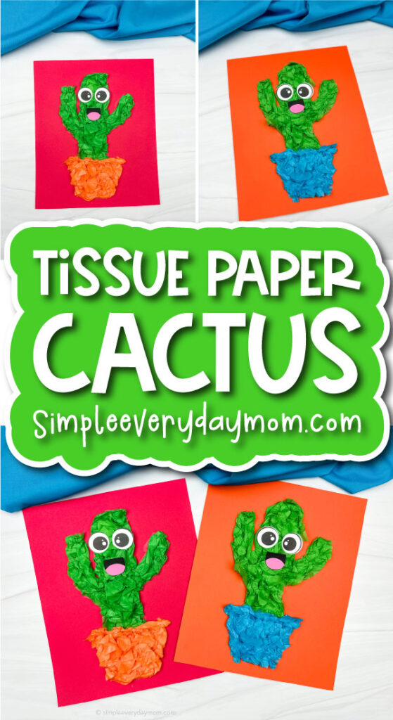 cactus tissue paper craft cover image