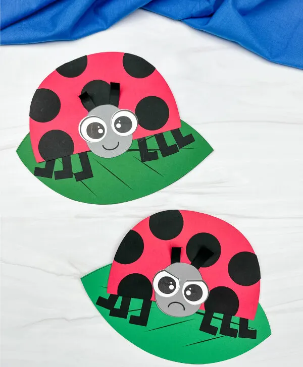 two side by side examples of finished grouchy ladybug craft