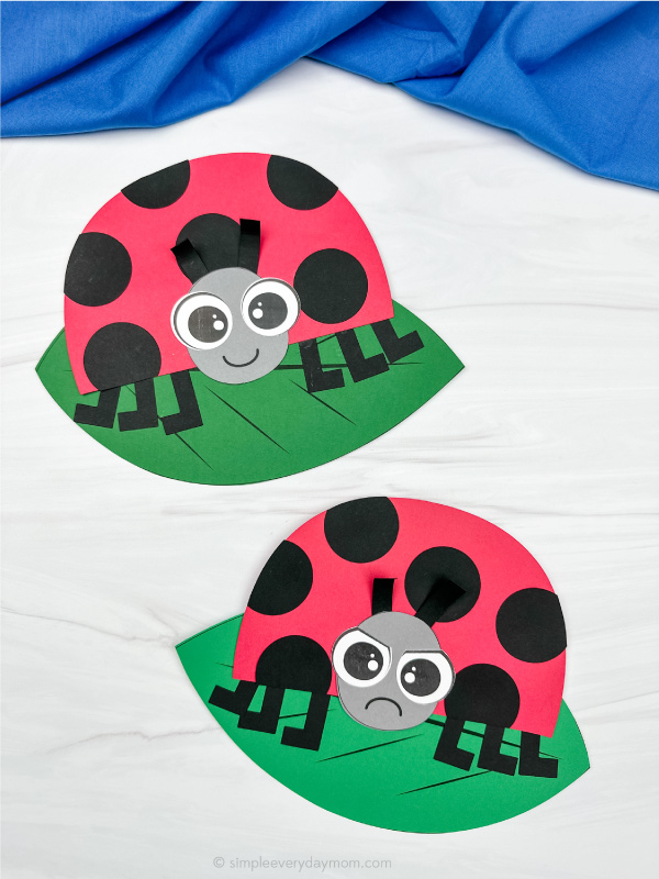 two side by side examples of finished grouchy ladybug craft