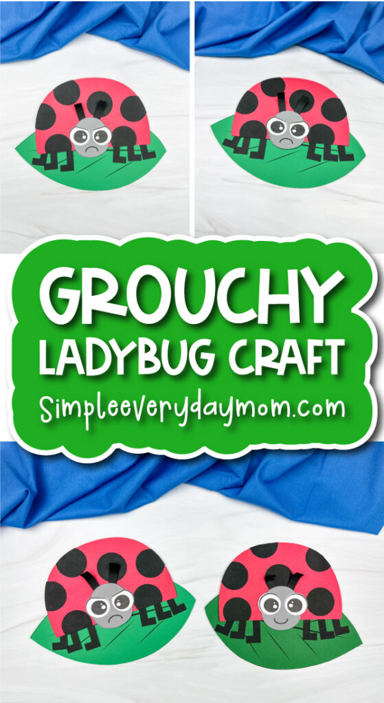 Grouchy ladybug craft cover image