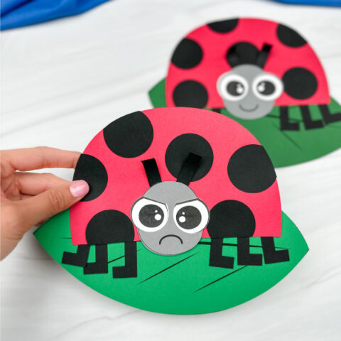 hand holding grouchy ladybug craft with another example in background