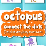 Octopus connect the dots cover image