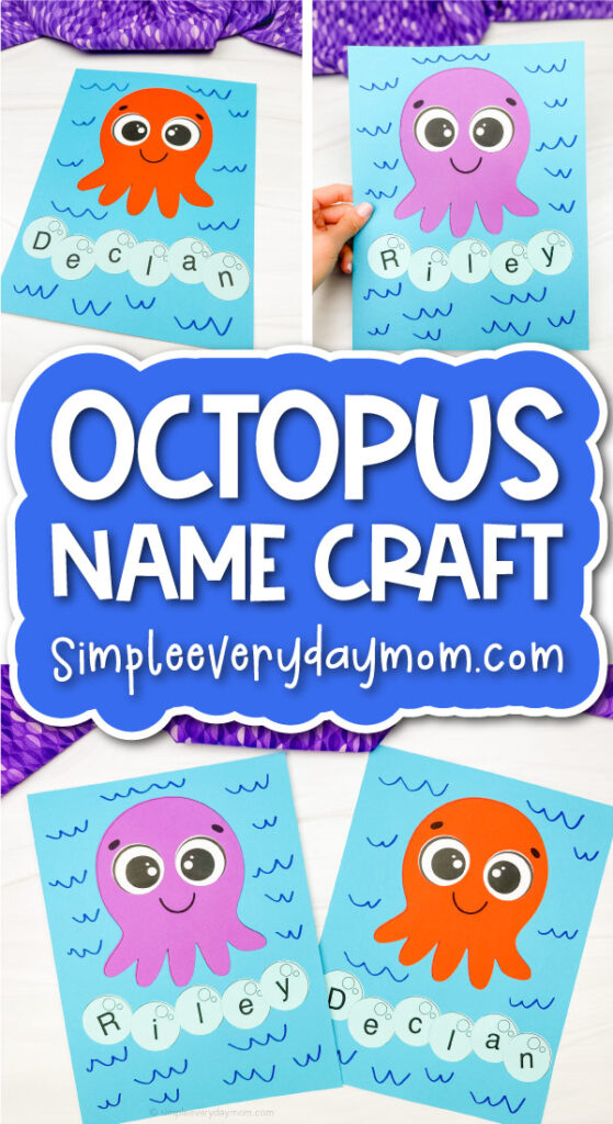 Octopus name craft cover image