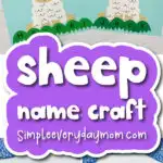 Sheep name craft cover image
