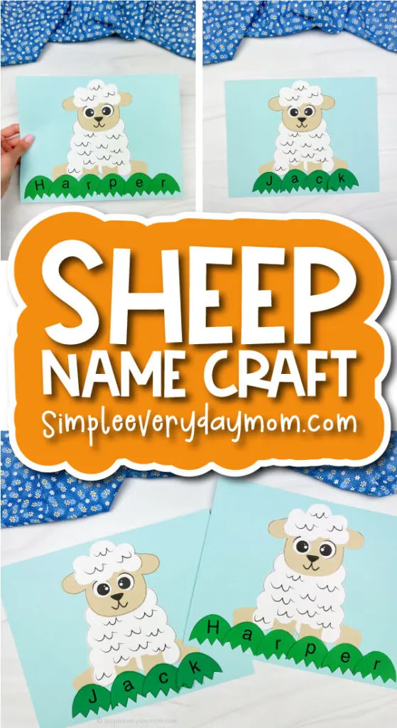Sheep name craft cover image