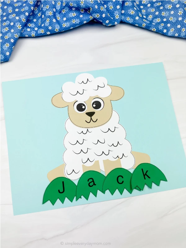 single example of sheep name craft