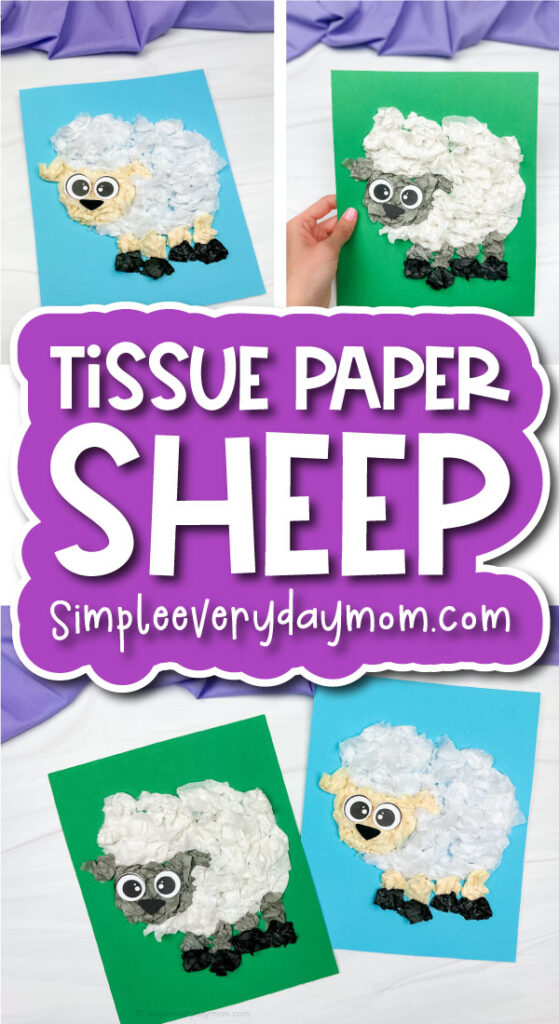 tissue paper sheep craft cover image