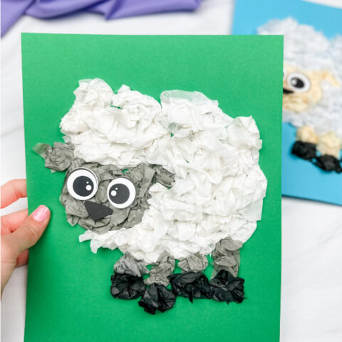 hand holding sheep tissue paper craft