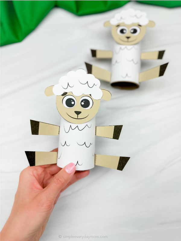 hand holding finished tp sheep craft with another in background