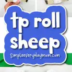 Toilet paper sheep roll craft cover image