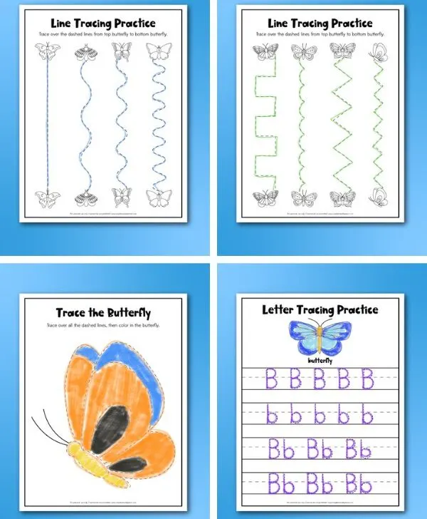 butterfly tracing worksheet image collage