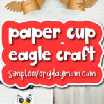 Eagle paper cup craft cover image