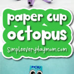 paper cup octopus cover image