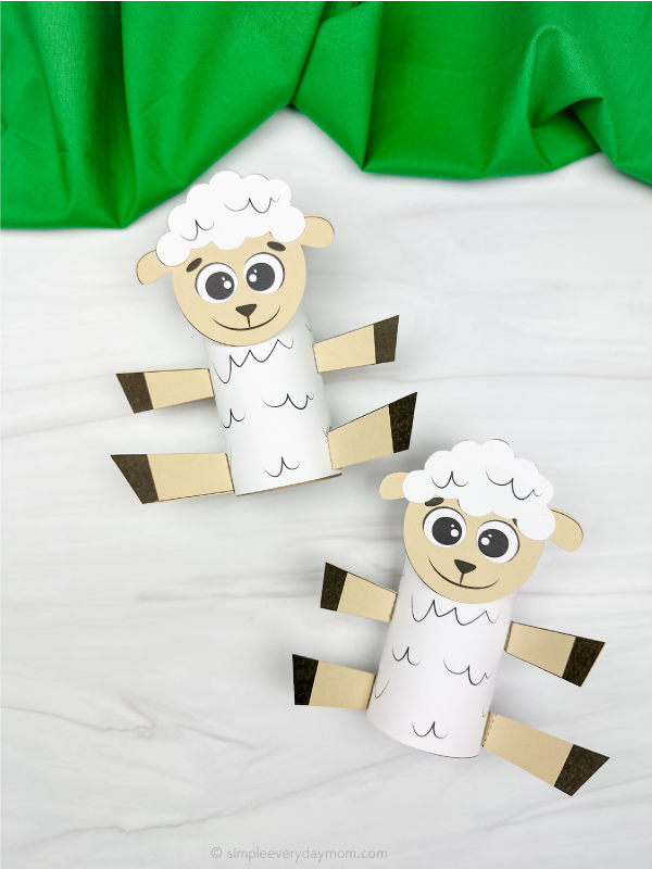 two side by side examples of sheep tp roll