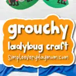 Grouchy ladybug craft cover image