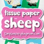 tissue paper sheep craft cover image